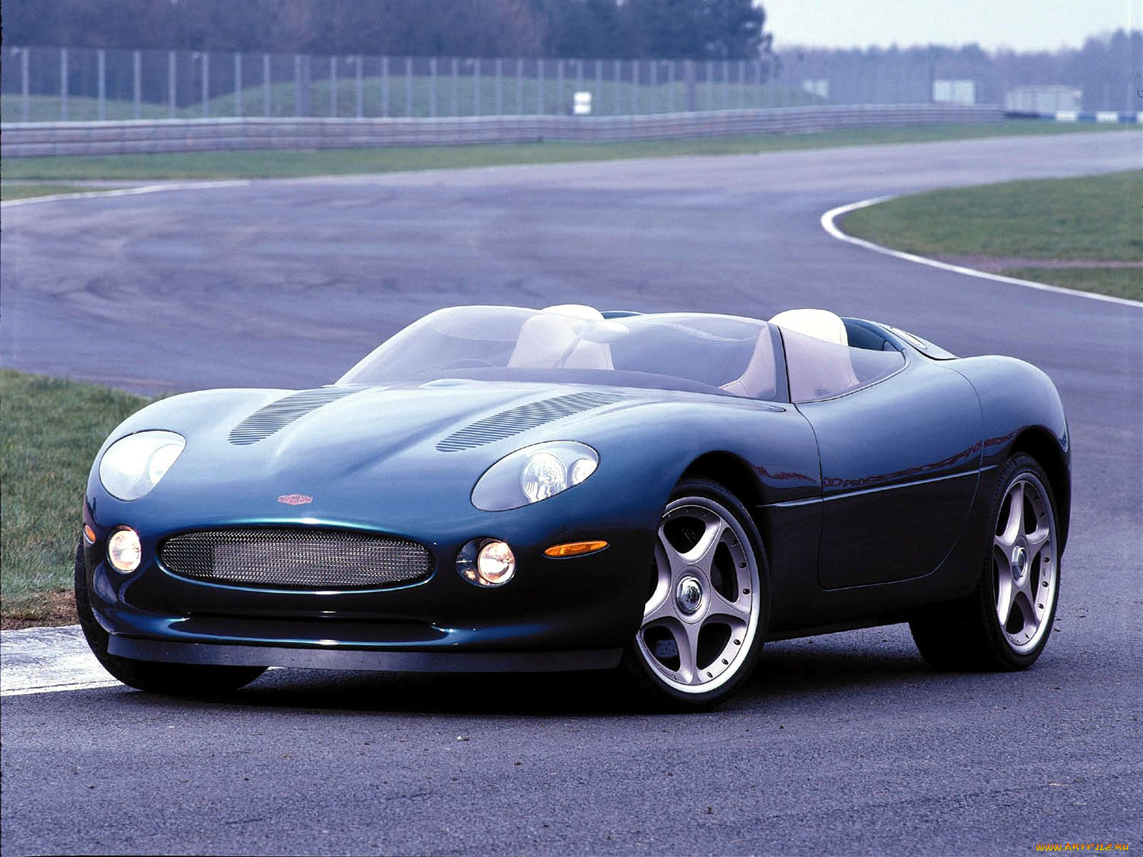 , jaguar